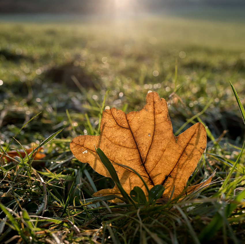 4711 16X_4591-1-Kopie.jpg